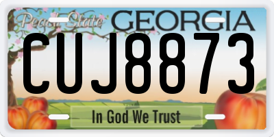 GA license plate CUJ8873