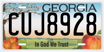 GA license plate CUJ8928