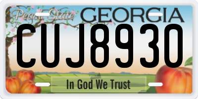 GA license plate CUJ8930