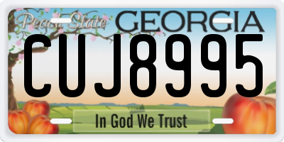 GA license plate CUJ8995