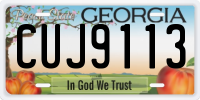GA license plate CUJ9113
