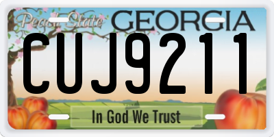 GA license plate CUJ9211