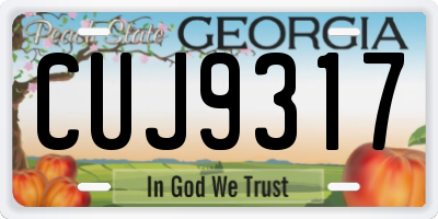 GA license plate CUJ9317