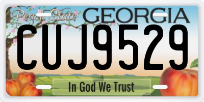 GA license plate CUJ9529