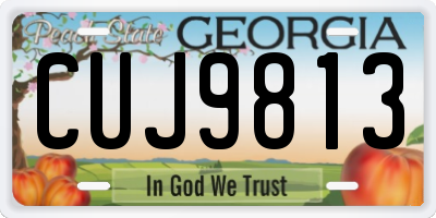 GA license plate CUJ9813