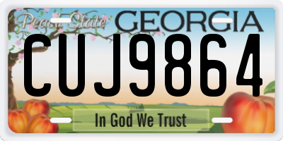 GA license plate CUJ9864