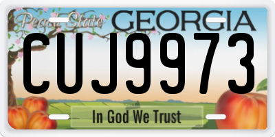 GA license plate CUJ9973