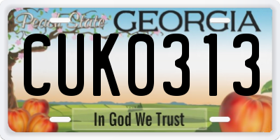 GA license plate CUK0313