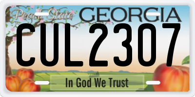 GA license plate CUL2307