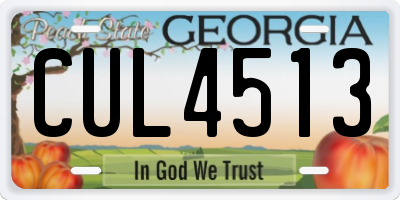 GA license plate CUL4513