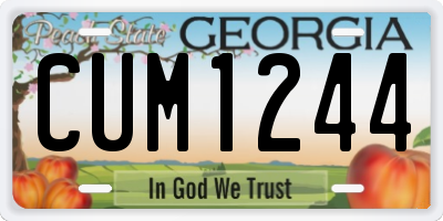 GA license plate CUM1244
