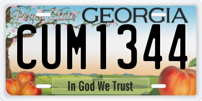 GA license plate CUM1344