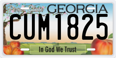 GA license plate CUM1825