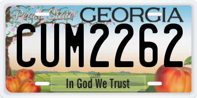 GA license plate CUM2262