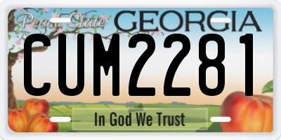 GA license plate CUM2281