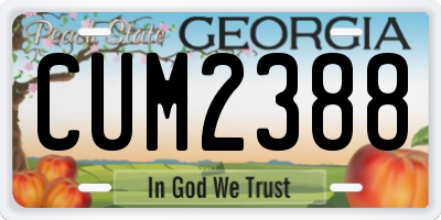 GA license plate CUM2388