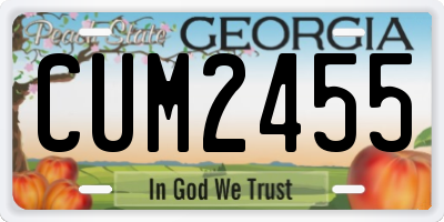 GA license plate CUM2455