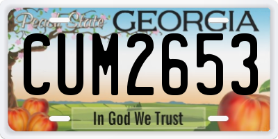 GA license plate CUM2653
