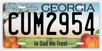 GA license plate CUM2954