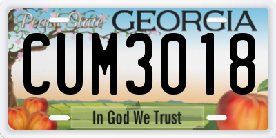 GA license plate CUM3018
