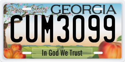 GA license plate CUM3099