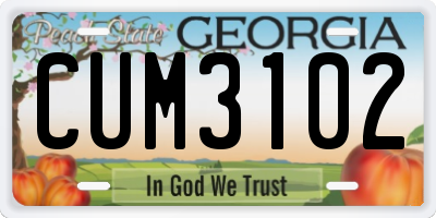GA license plate CUM3102