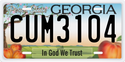 GA license plate CUM3104
