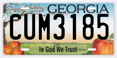 GA license plate CUM3185