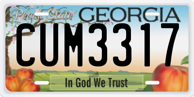 GA license plate CUM3317