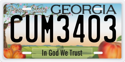 GA license plate CUM3403