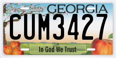 GA license plate CUM3427