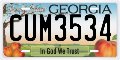 GA license plate CUM3534