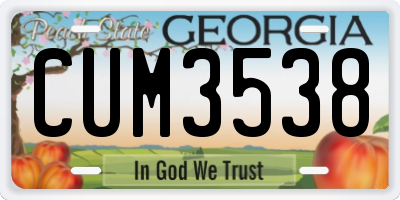 GA license plate CUM3538