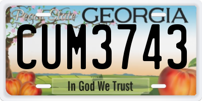 GA license plate CUM3743