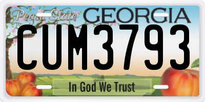 GA license plate CUM3793