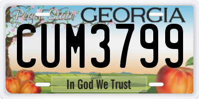 GA license plate CUM3799