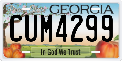 GA license plate CUM4299