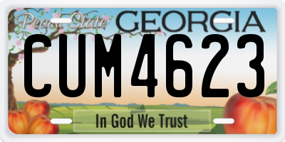 GA license plate CUM4623