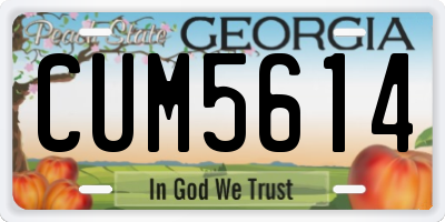 GA license plate CUM5614