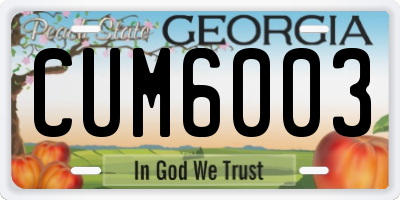 GA license plate CUM6003