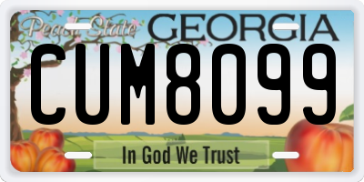 GA license plate CUM8099