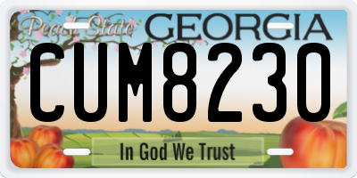 GA license plate CUM8230