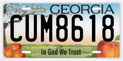 GA license plate CUM8618