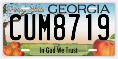 GA license plate CUM8719