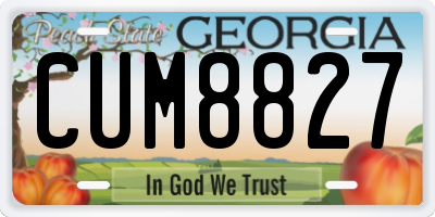 GA license plate CUM8827