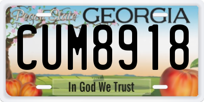 GA license plate CUM8918