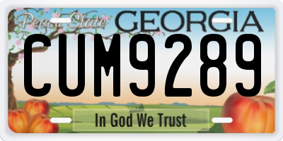 GA license plate CUM9289