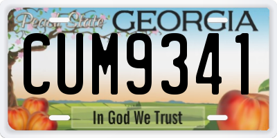 GA license plate CUM9341