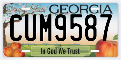 GA license plate CUM9587