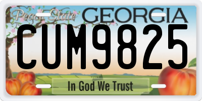 GA license plate CUM9825